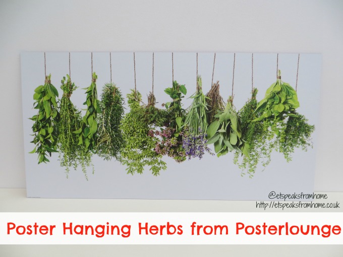 posterlounge hanging herbs poster