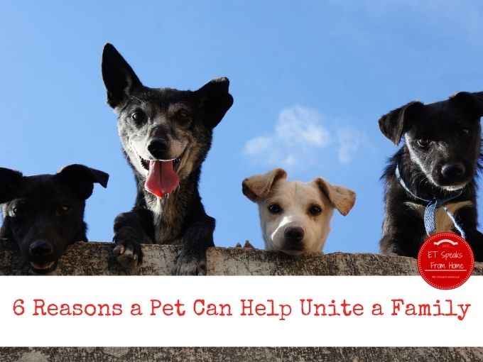 6 Reasons a Pet Can Help Unite a Family