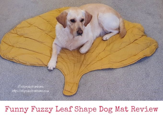 Funny Fuzzy Leaf Shape Dog Mat Review