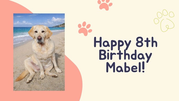 Mabel’s Birthday Game Night A Paw-fect Evening of Fun